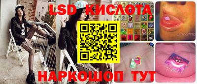 шишки Кандалакша