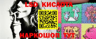 шишки Кандалакша