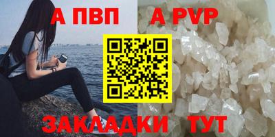 шишки Кандалакша