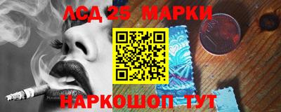 шишки Кандалакша