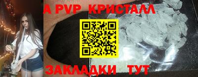 шишки Кандалакша