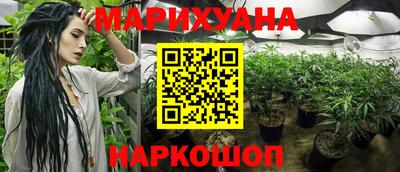 шишки Кандалакша