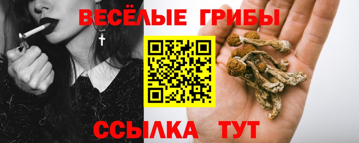 Галлюциногенные грибы мухоморы  цена наркотик  Салехард  Галлюциногенные грибы Magic Shrooms  Вход с VPN 